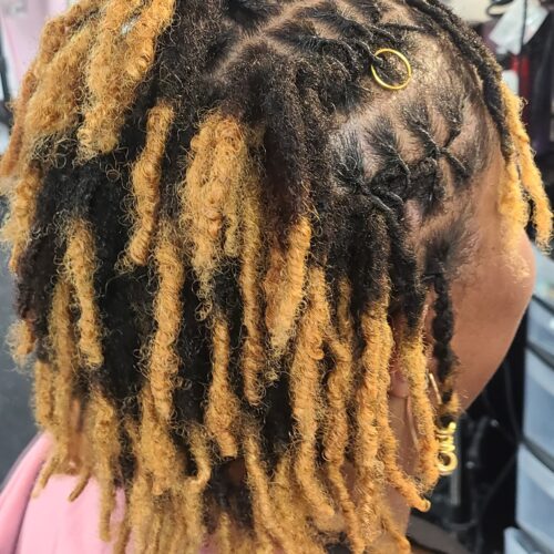 Traditional Locs With Lightener